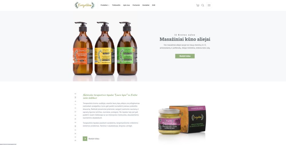 interneto svetainių ir parduotuvių kūrimas